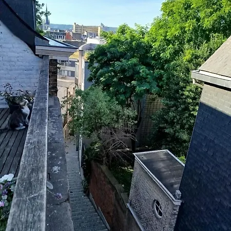 Apartment De Charme En Plein Coeur De Liege